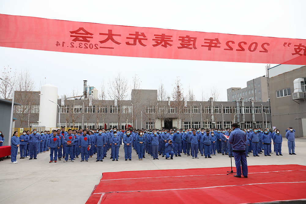 公司召開2022年度表先大會